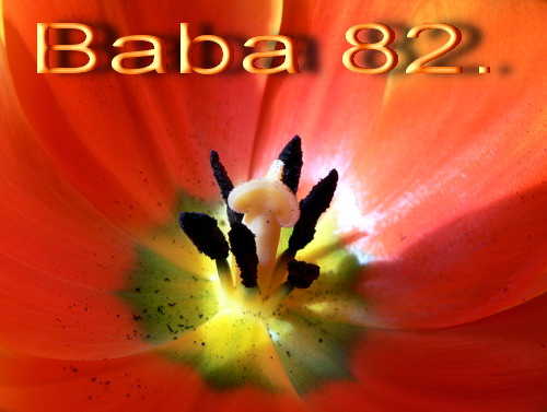Baba 8. - 2007. április 13.